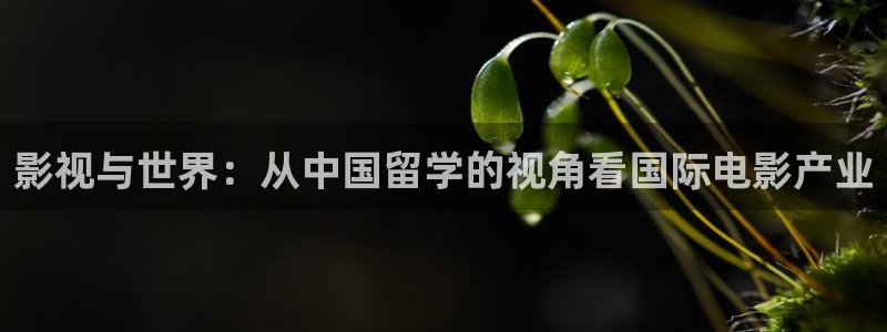 电影八戒：影视与世界：从中国留学的视角看国际电影产业
