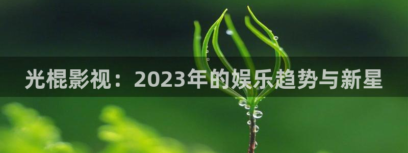 聊斋艳谭八戒影院：光棍影视：2023年的娱乐趋势与新星