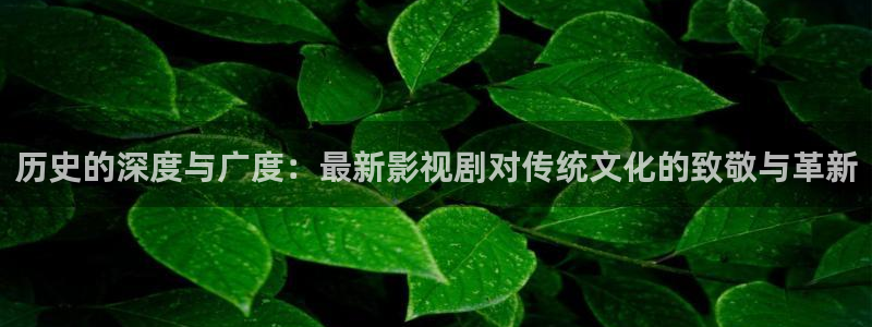 八戒影院入口：历史的深度与广度：最新影视剧对传统文化的致敬与革新