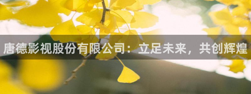 八戒八戒在线影视免费bd：唐德影视股份有限公司：立足未来，共创辉煌